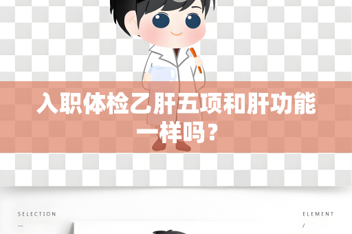 入职体检乙肝五项和肝功能一样吗？