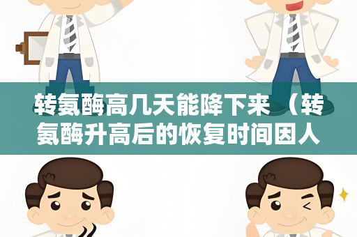 转氨酶高几天能降下来 （转氨酶升高后的恢复时间因人而异）