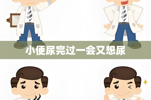 小便尿完过一会又想尿