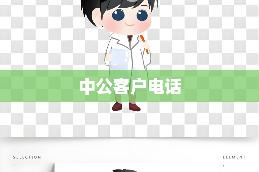 中公客户电话