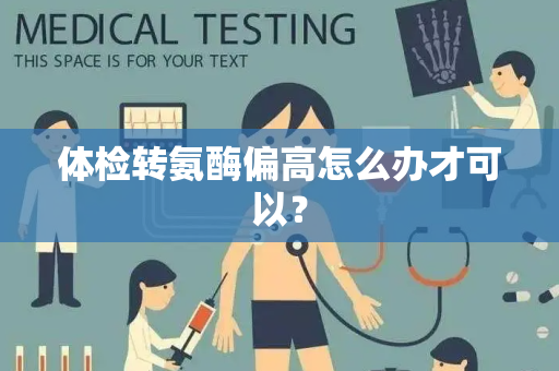 体检转氨酶偏高怎么办才可以？